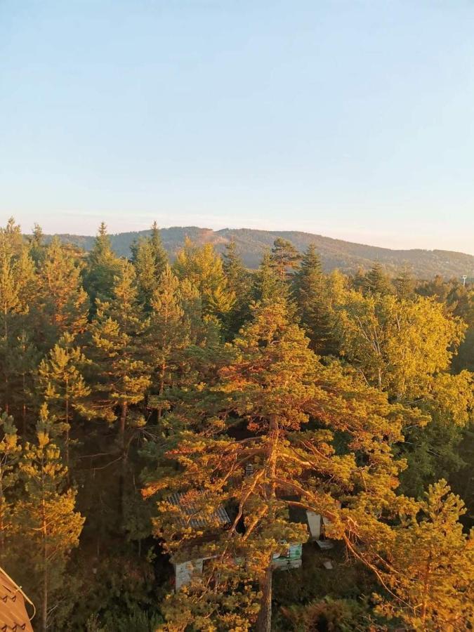 Divcibare Planinski Mir A19 외부 사진