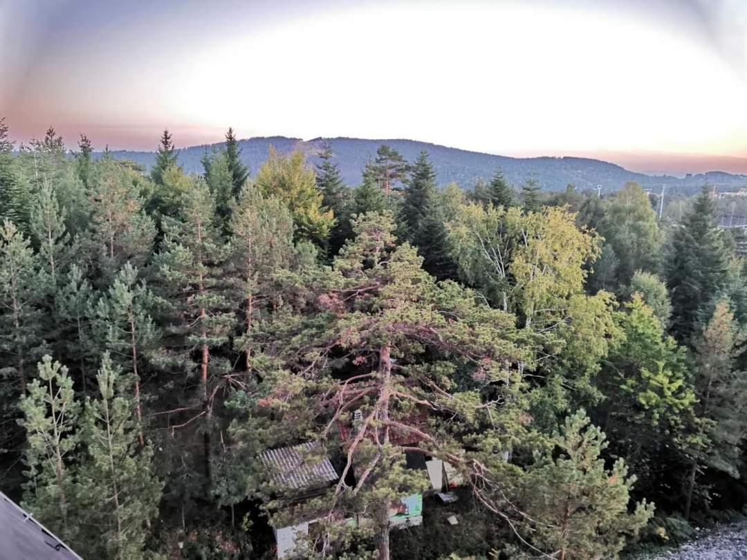 Divcibare Planinski Mir A19 외부 사진